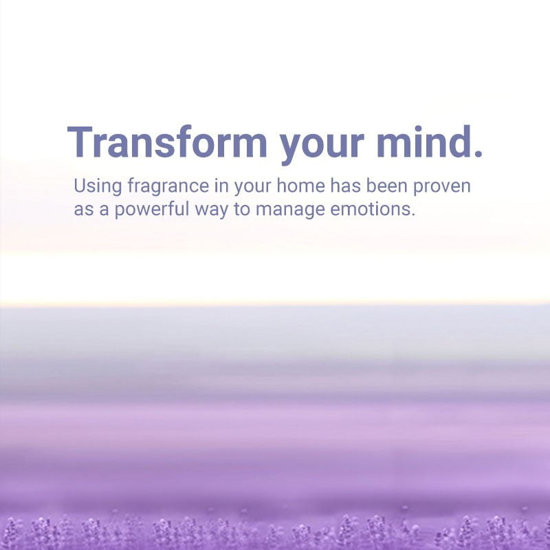 Fragrance-Made-Easy-01-Left-800x800 Fragrance Made Easy 01 Left 800x800 1