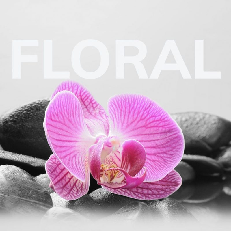 1080x1080 Floral