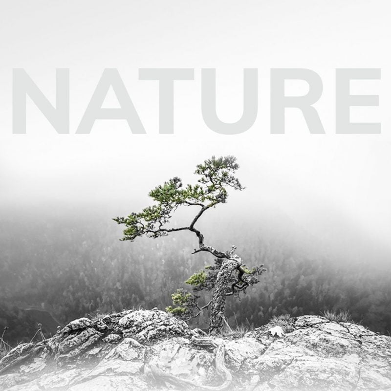 1080x1080 Nature