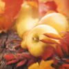 Crunchy Autumn Leaves - Sample Image