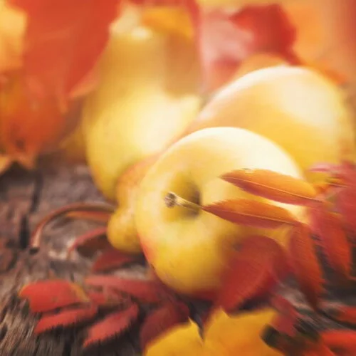 Crunchy Autumn Leaves - Sample
