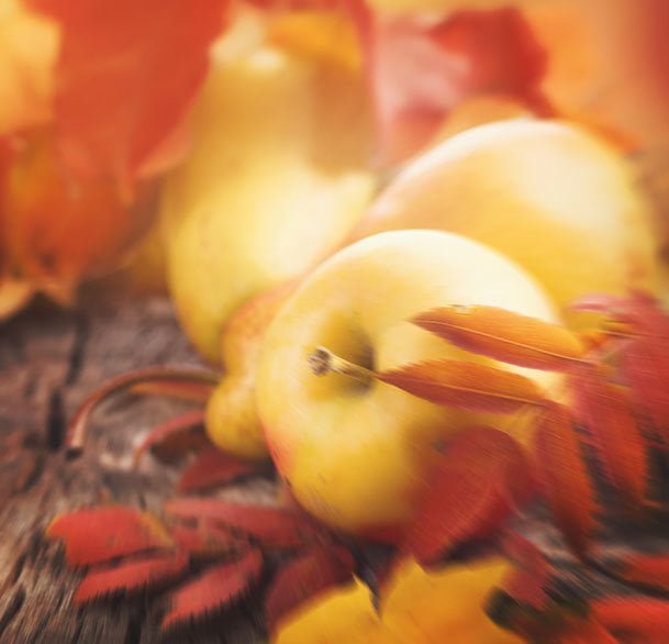 Crunchy Autumn Leaves - Sample Image