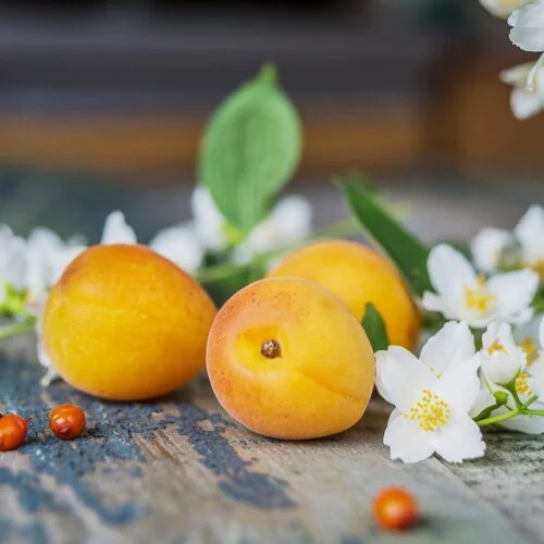 Apricot Tea - Sample