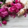 Beautiful Daytime - Sample
