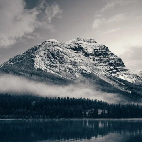 Fresh Outdoors - Sample
