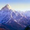 Himalayan Magnolia Vanilla - Sample