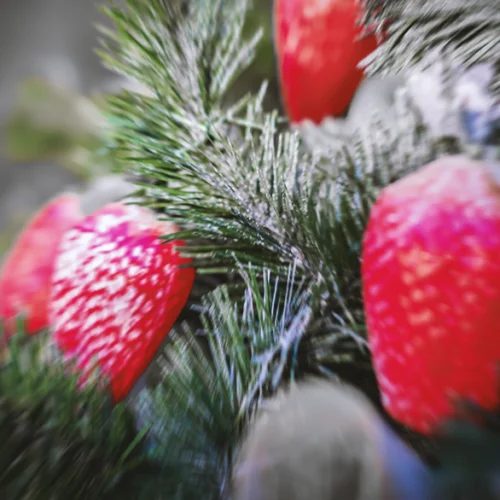 Crystal Berry Pine Sample