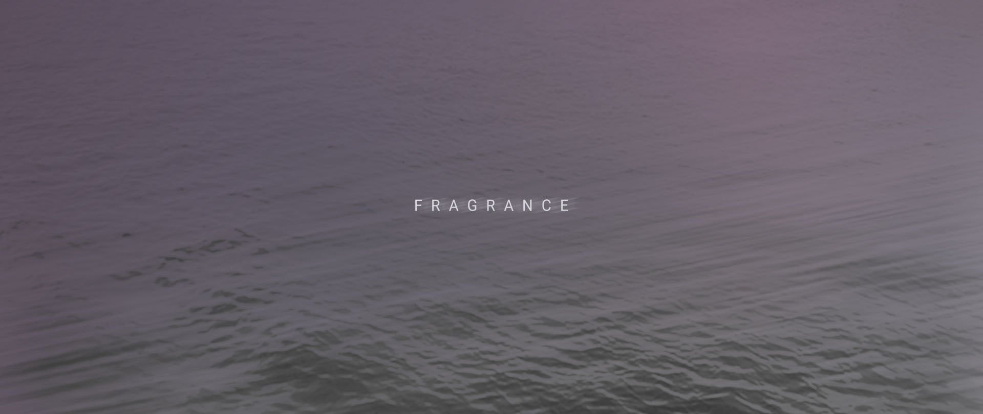 Ocean-Purple-Purple-Ocean-Header-DT