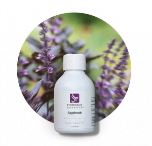 Sagebrush Fragrance
