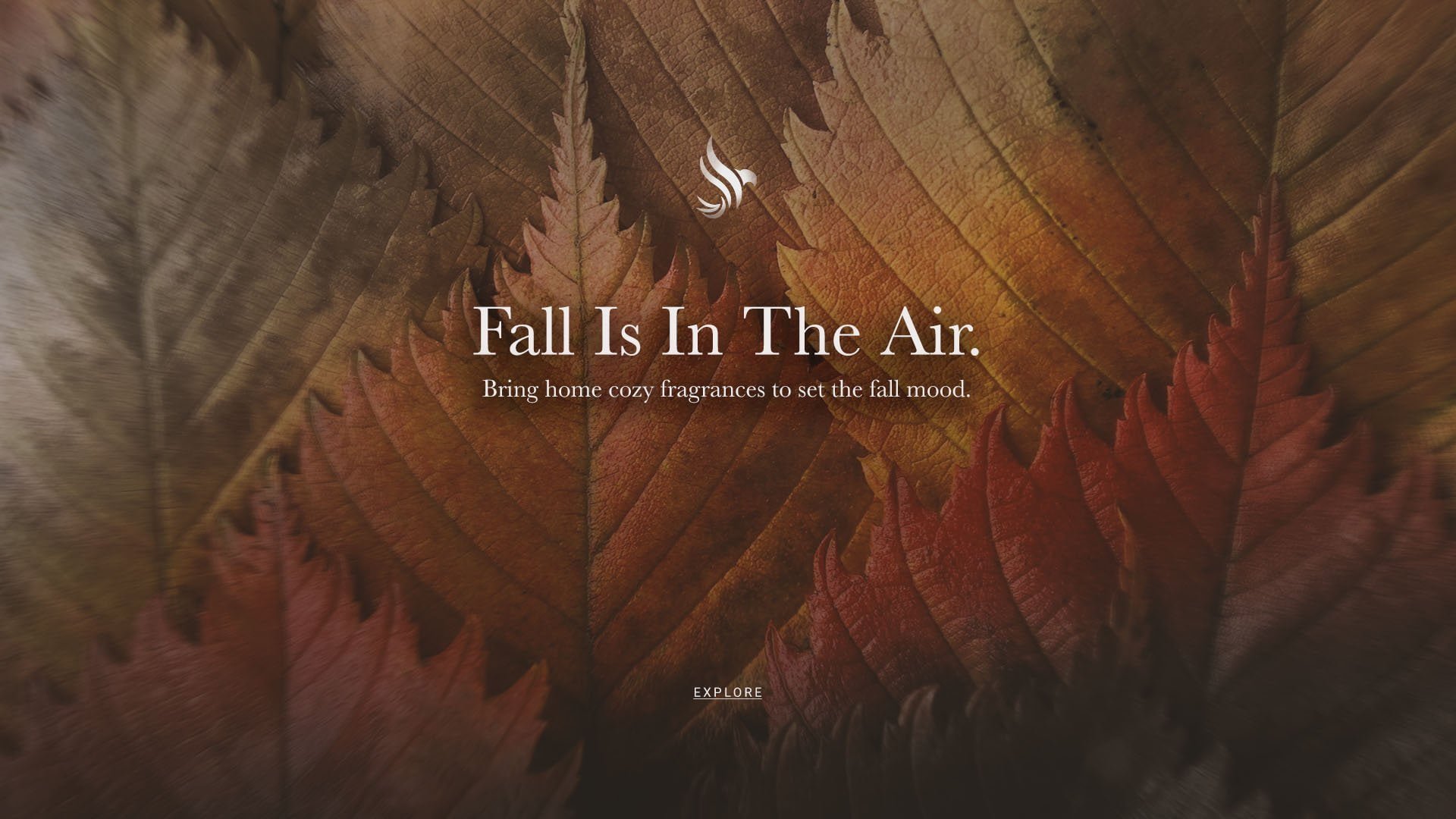 Fall Home Fragrance