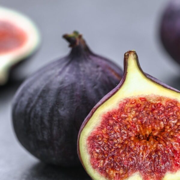 Fig