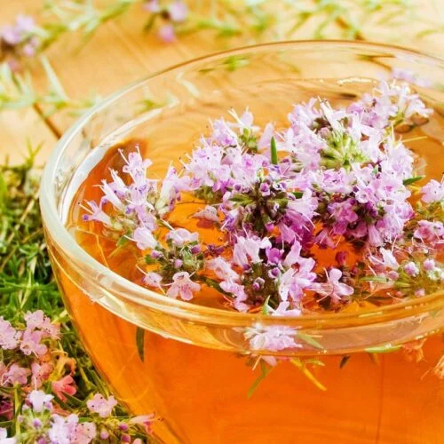 White Tea & Thyme Sample