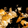 gold rush sample
