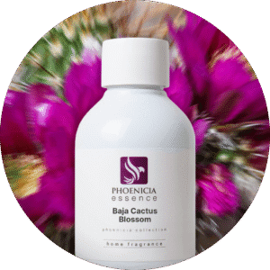 pe baja cactus blossom