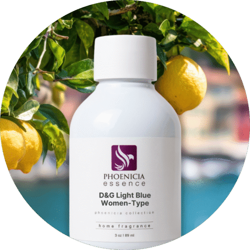 D&G Light Blue Women Type