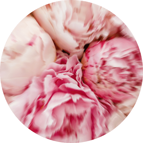 pe sample beautiful daytime pe sample beautiful daytime