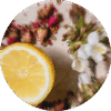 pe sample capri citron