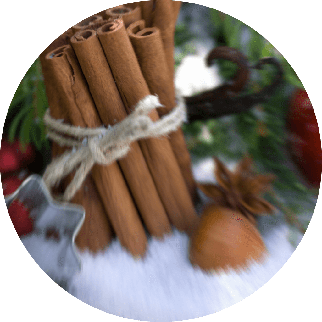 Cinnamon Sticks - Sample