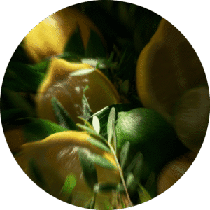 Apricot Tea