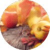 Crunchy Autumn Leaves - Sample