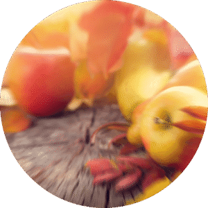 pe sample crunchy autumn leaves