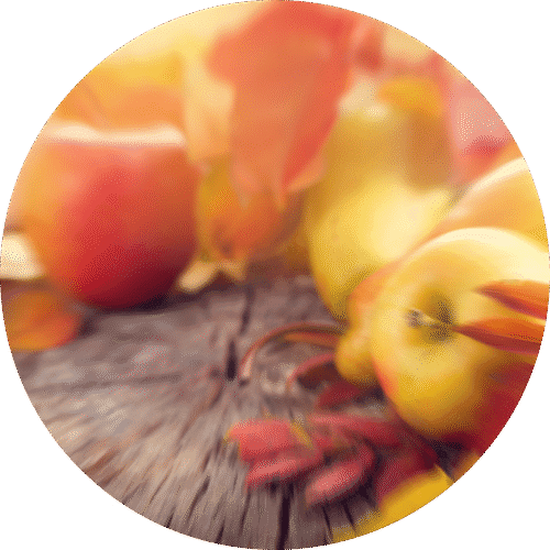 Crunchy Autumn Leaves - Sample