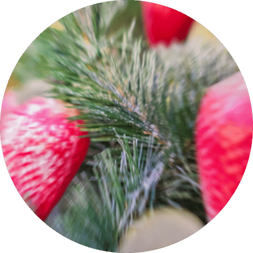 Crystal Berry Pine Sample