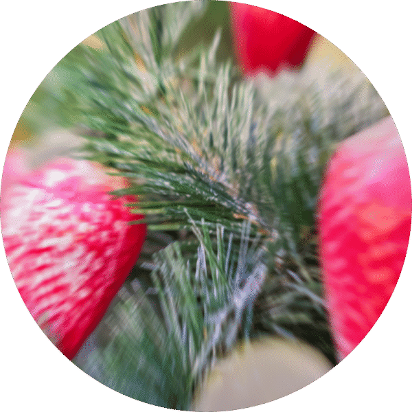 pe sample crystal berry pine Crystal Berry Pine Sample