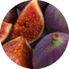 pe sample mission fig