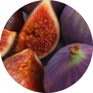 pe sample mission fig