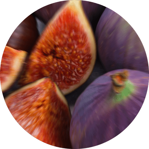 pe sample mission fig