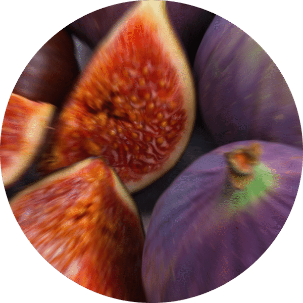 pe sample mission fig pe sample mission fig