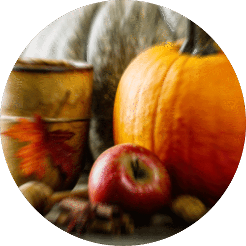 Pumpkin Apple Crisp - Sample