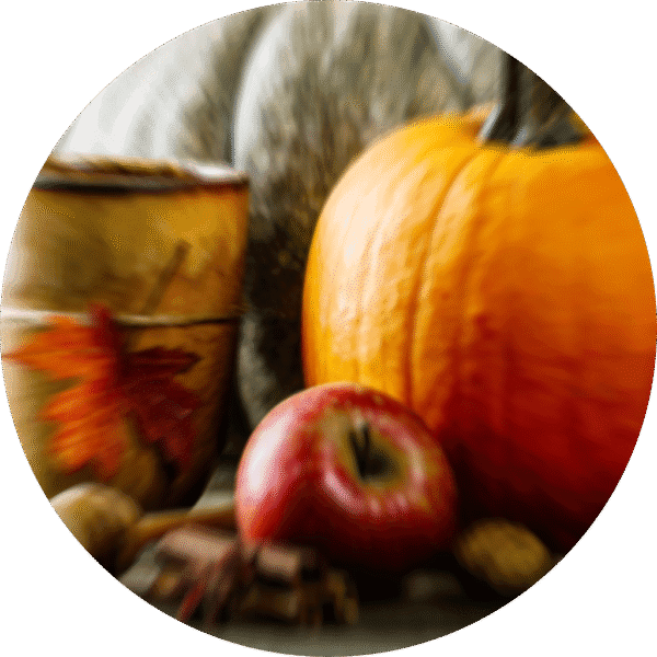 pe sample pumpkin apple crisp Pumpkin Apple Crisp - Sample