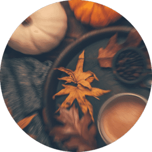 pe sample pumpkin spice