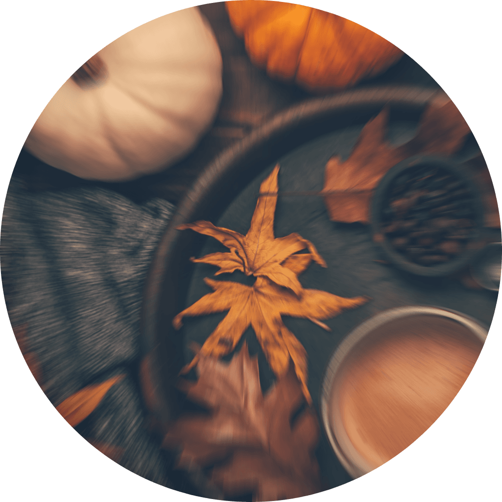 Pumpkin Spice - Sample