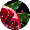 pe sample sage and pomegranate