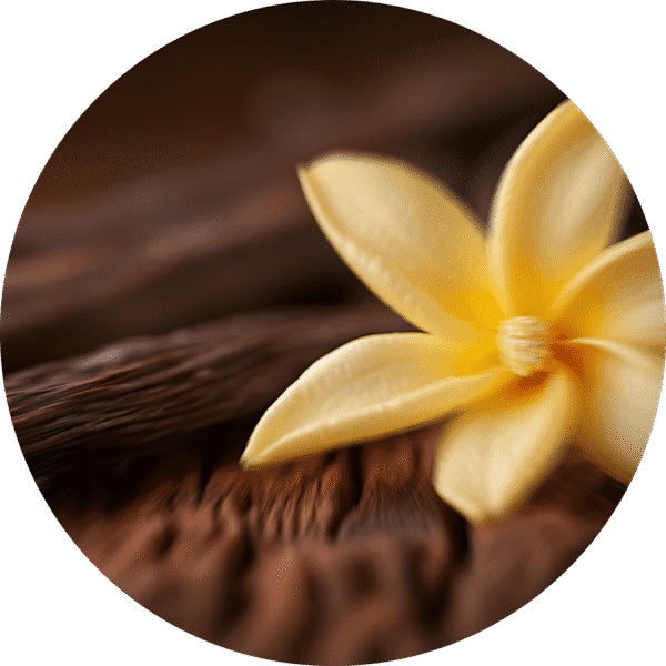 pe sample sandalwood vanilla pe sample sandalwood vanilla