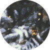Snowy Mountain Cottage - Sample