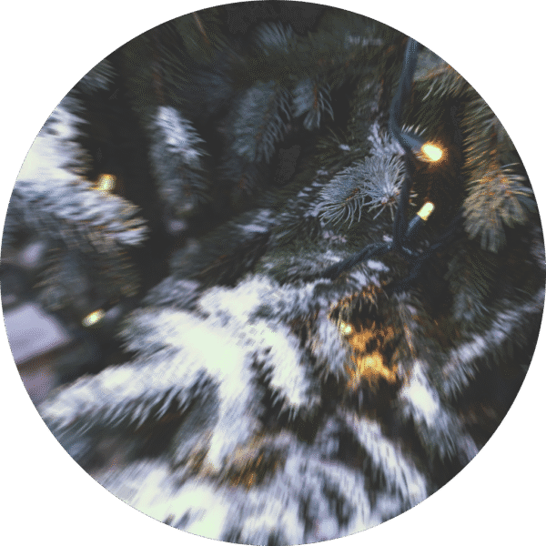 Snowy Mountain Cottage - Sample