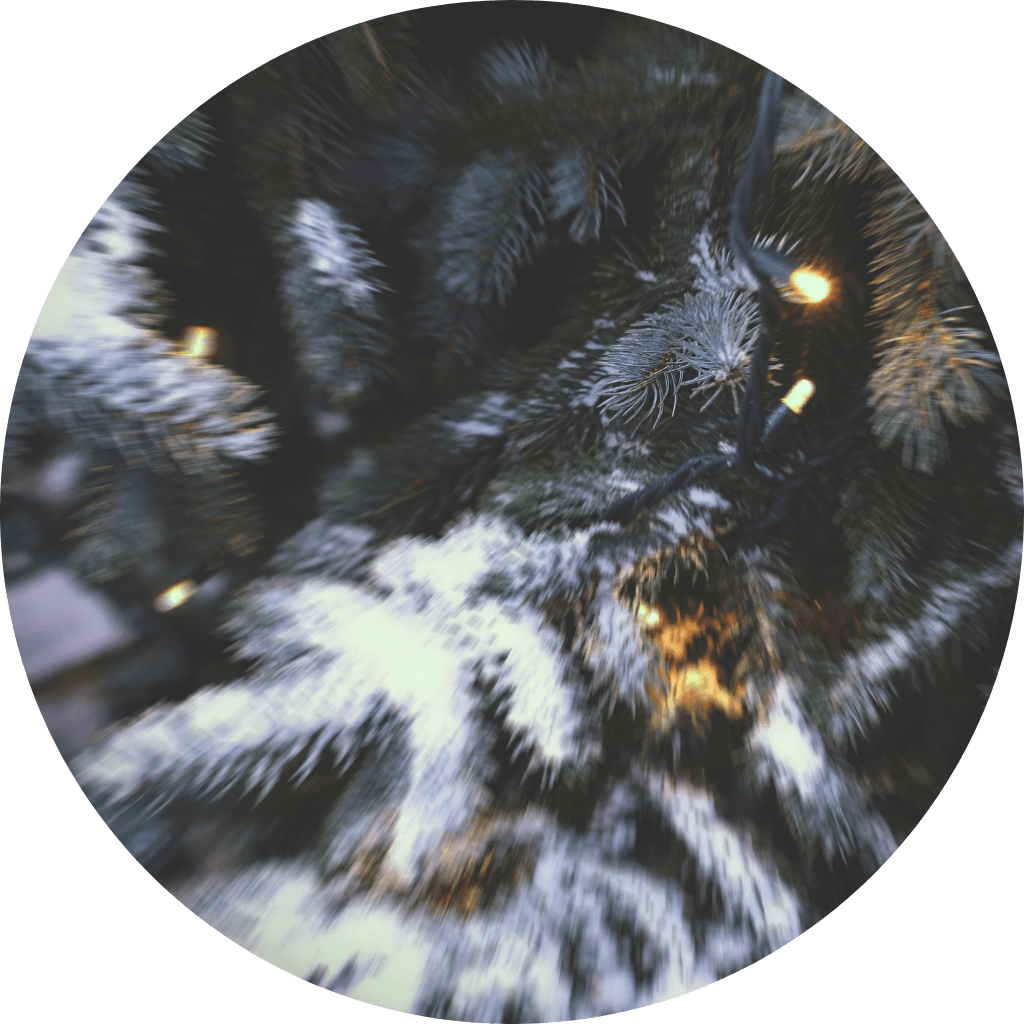 Winter Fir & Balsam - Sample